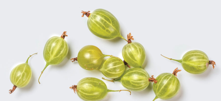 Amla: An ancient antioxidant.