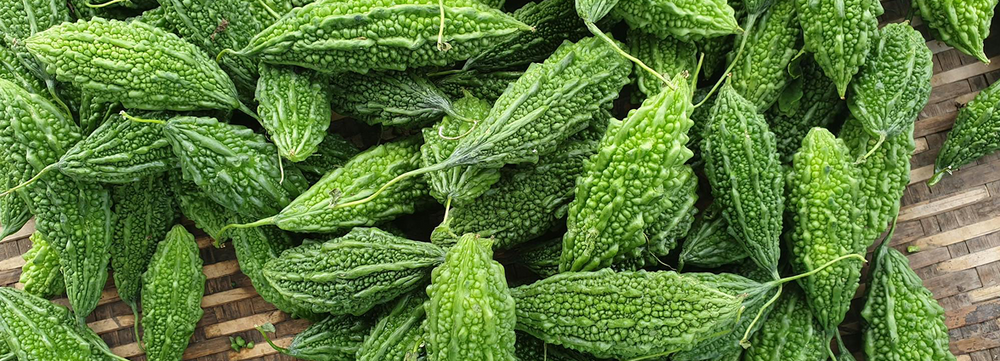 Bitter Melon