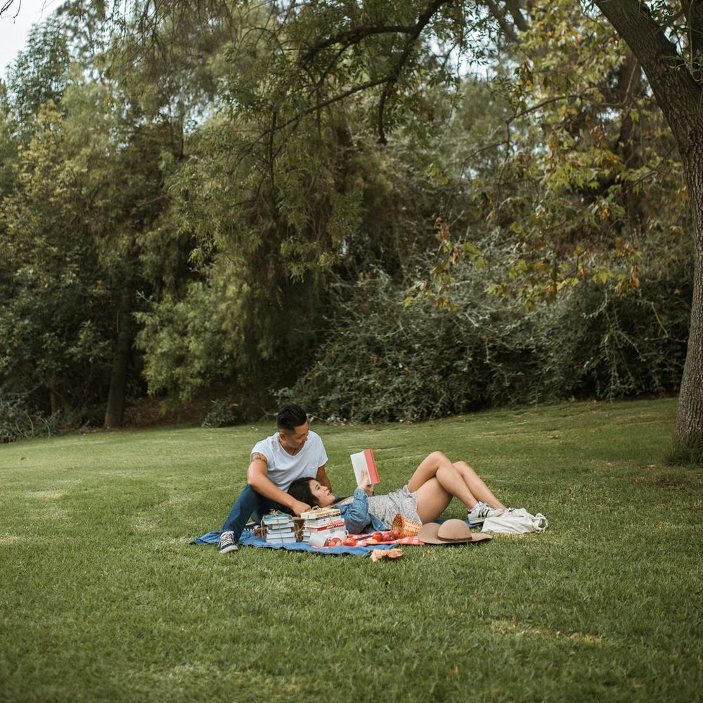 Habits and Remedies For Seasonal Allergies