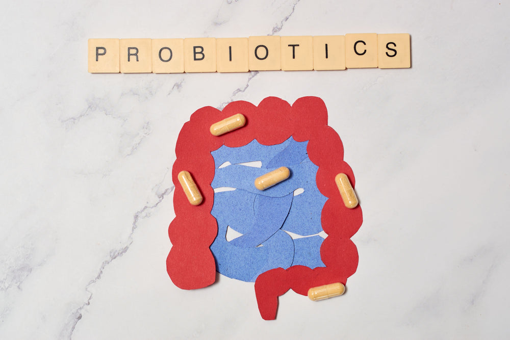 Best Probiotics for IBS Constipation According to Science