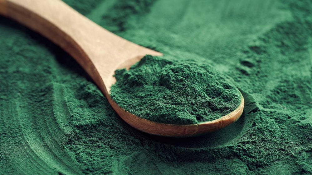 What's the Deal with Spirulina?