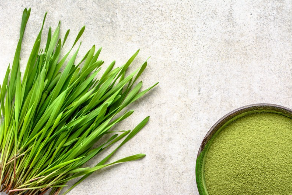 What Are The Benefits of Wheatgrass? Your Introduction to a Superfood