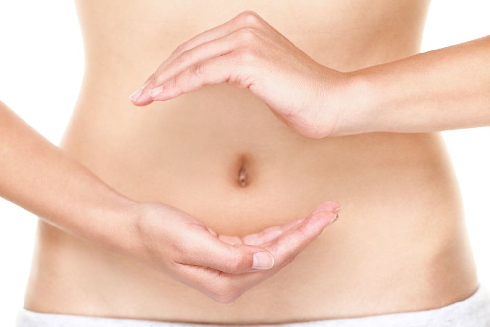 Improving Gut Health with Probiotics