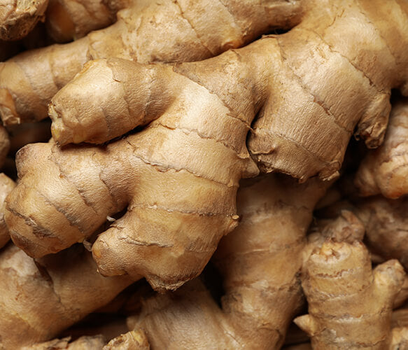 Ginger Root