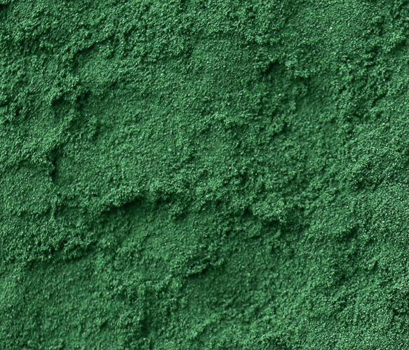 Spirulina