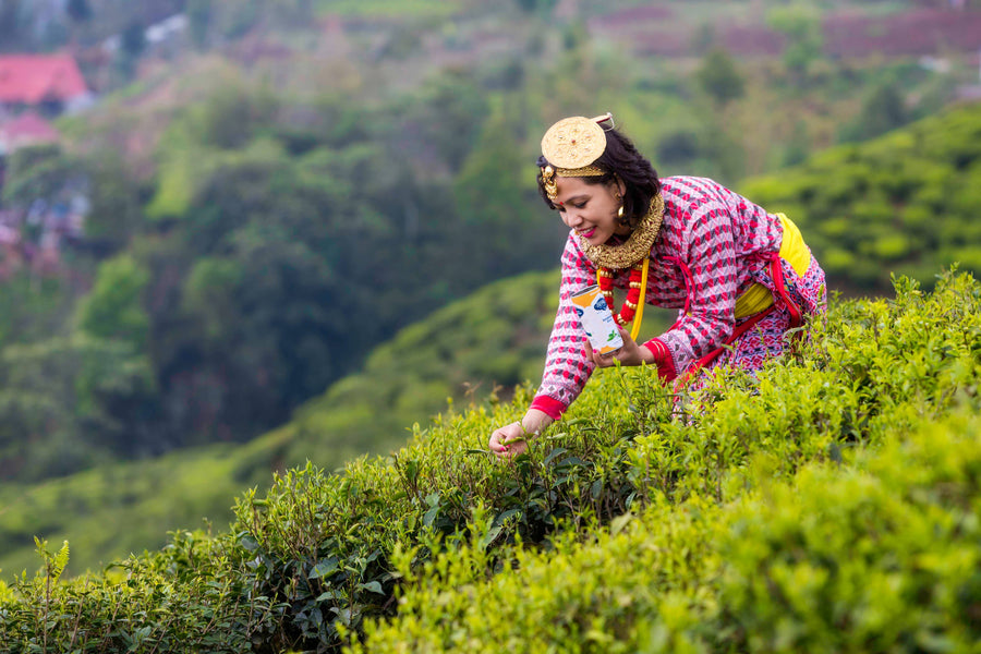 You Are Complex: Meet Sunita Karmacharya of Nepali Tea Traders