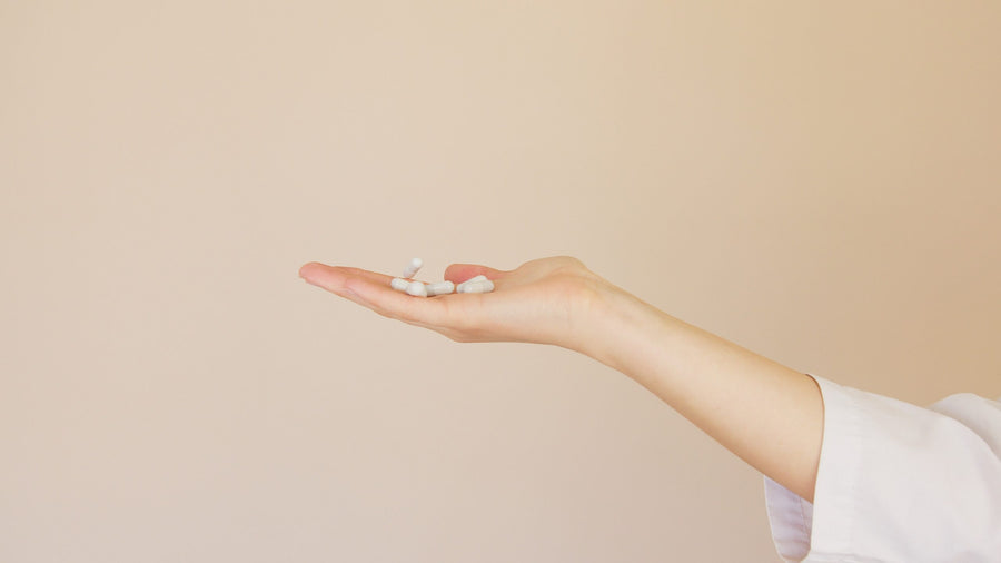 Supplier Spotlight: Get to Know the Team at Lallemand Health Solutions (Our Vegan-Friendly Probiotics Supplier)