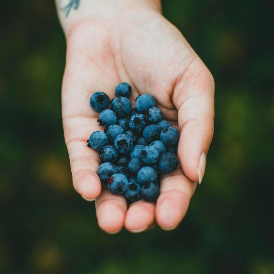 5 Healthy Blueberry Recipes for 4th of July Week & Beyond