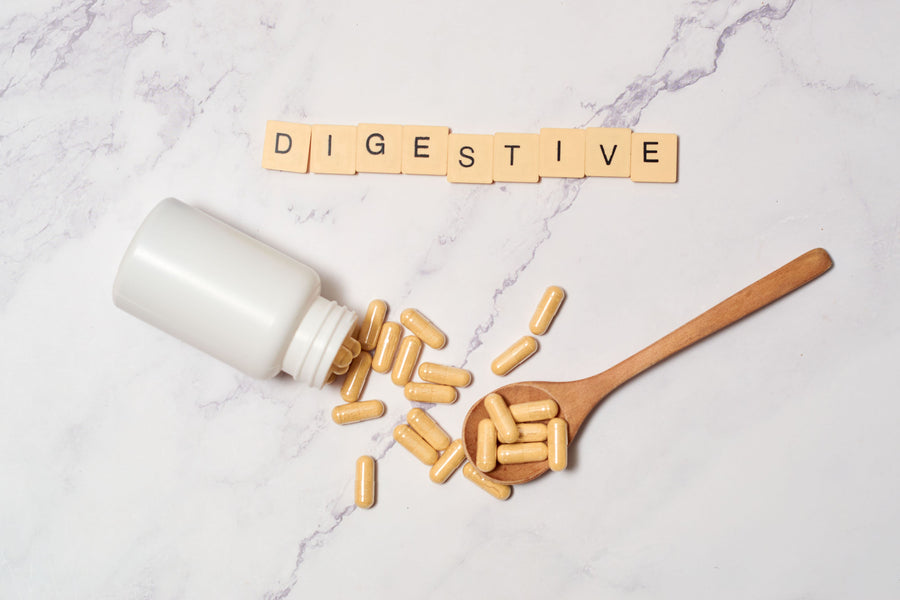 Best Prebiotic and Probiotic Combo to Take