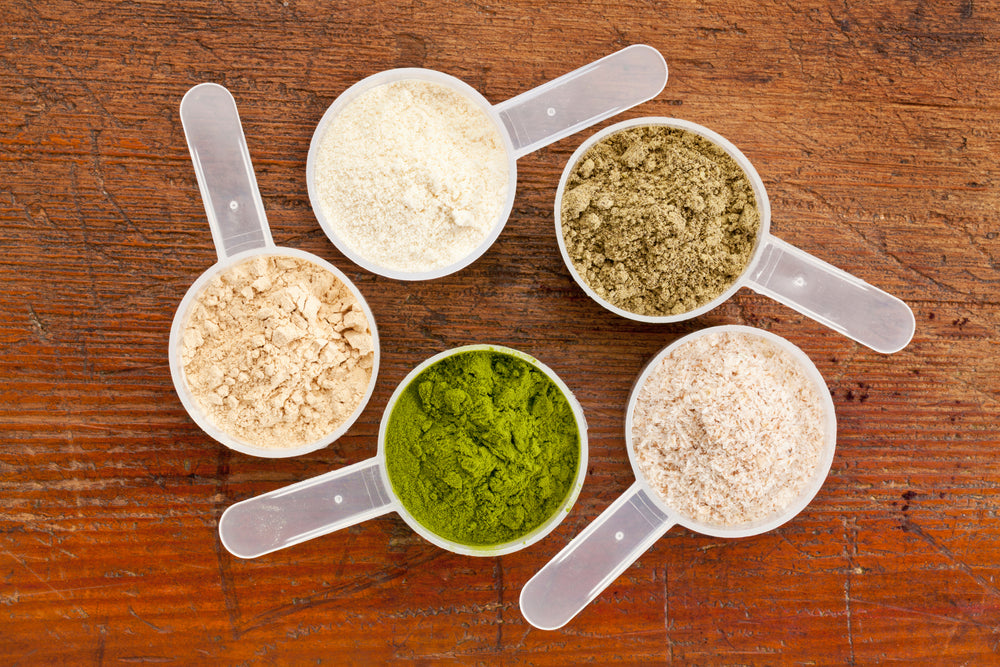 Plant vs. Whey Protein: Which Is Right for You?