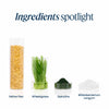 Ingredients spotlight graphic showing four labeled product components on a white background: a tall clear cylinder filled with yellow pea grains, a clear cylinder with green wheatgrass, a small dish with dark green spirulina powder, and a small pile of white bifidobacterium longum powder. The heading reads 'Ingredients spotlight'.